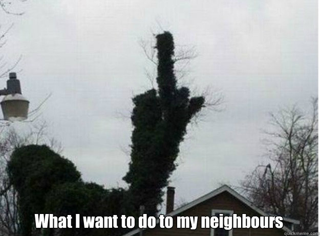 What I want to do to my neighbours  