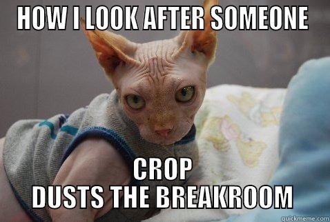 Bored Cat  - HOW I LOOK AFTER SOMEONE CROP DUSTS THE BREAKROOM Misc