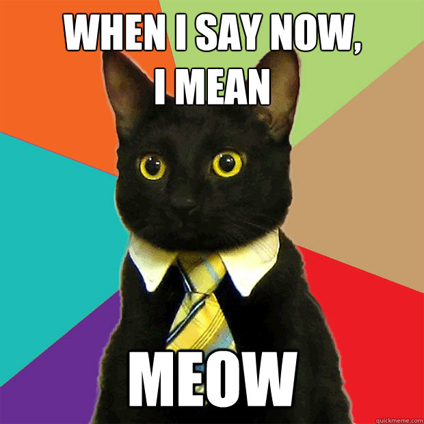 When I say now,
I mean MEOW  Business Cat