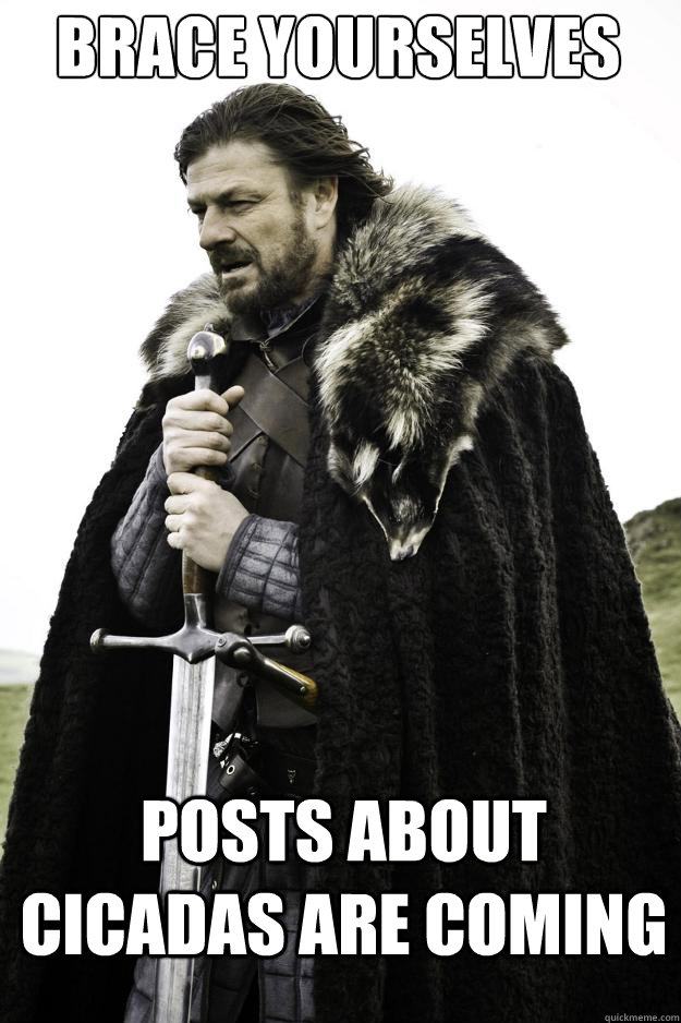 Brace yourselves posts about cicadas are coming  They are coming