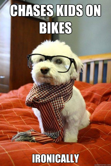 Chases kids on bikes ironically  Caption 3 goes here  Hipster Dog