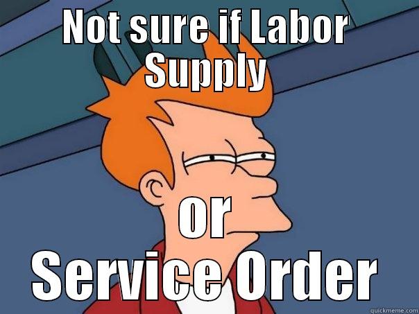 NOT SURE IF LABOR SUPPLY OR SERVICE ORDER Futurama Fry