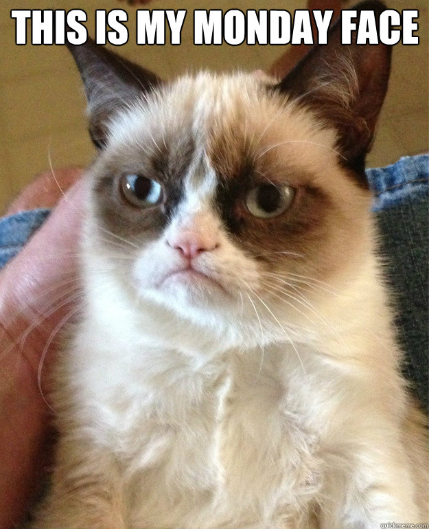 This is my monday face   Grumpy Cat