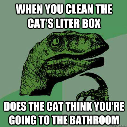 when you clean the cat's liter box does the cat think you're going to the bathroom  Philosoraptor