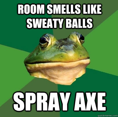 room smells like sweaty balls spray axe - room smells like sweaty balls spray axe  Foul Bachelor Frog