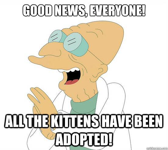 Good News, EVeryone! all the kittens have been adopted!  Futurama Farnsworth