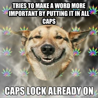 tries to make a word more important by putting it in all caps CAPS LOCK ALREADY ON  Stoner Dog