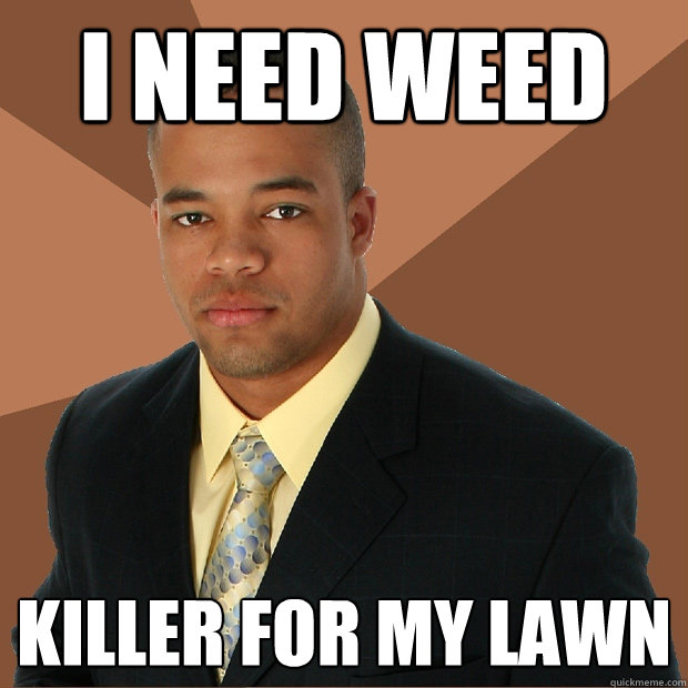 i need weed killer for my lawn - i need weed killer for my lawn  Successful Black Man