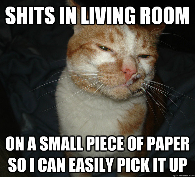 Shits in living room On a small piece of paper so I can easily pick it up - Shits in living room On a small piece of paper so I can easily pick it up  Cool Cat Craig