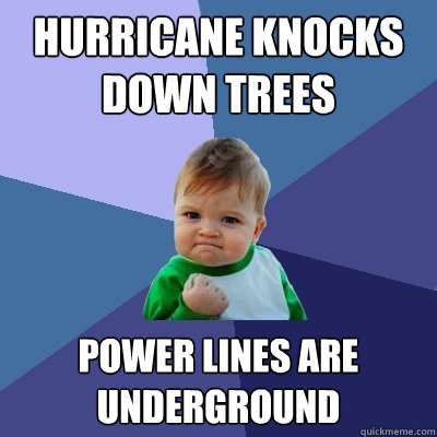 hurricane knocks down trees power lines are underground  Success Kid