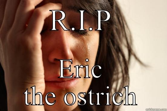 R.I.P ERIC THE OSTRICH First World Problems