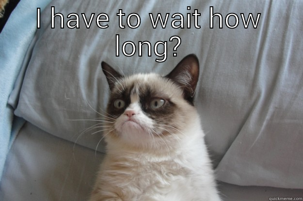 I HAVE TO WAIT HOW LONG?  Grumpy Cat