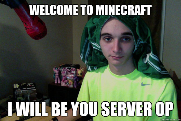 Welcome to minecraft i will be you server op  