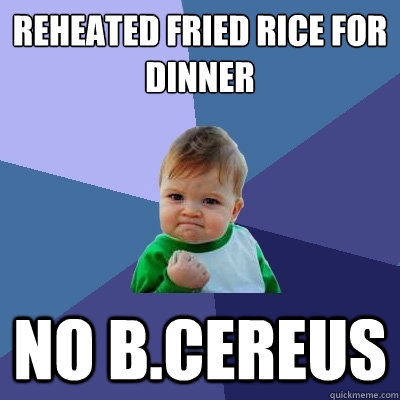 Reheated Fried Rice for dinner No b.Cereus  Success Kid