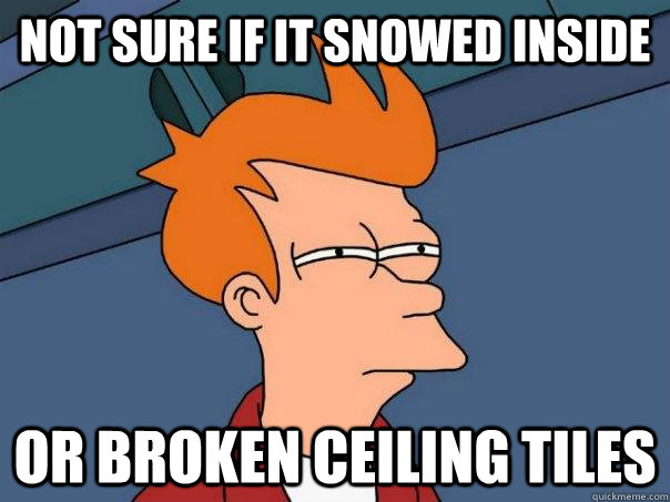 Not sure if it snowed inside Or broken ceiling tiles  Futurama Fry