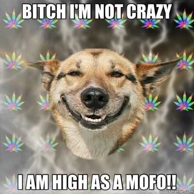 BITCH I'M NOT CRAZY I AM HIGH AS A MOFO!!  Stoner Dog