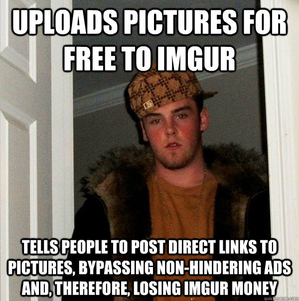 uploads pictures for free to imgur tells people to post direct links to pictures, bypassing non-hindering ads and, therefore, losing imgur money - uploads pictures for free to imgur tells people to post direct links to pictures, bypassing non-hindering ads and, therefore, losing imgur money  Scumbag Steve