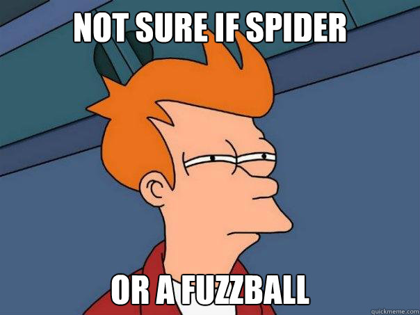 Not sure if spider or a fuzzball  Futurama Fry