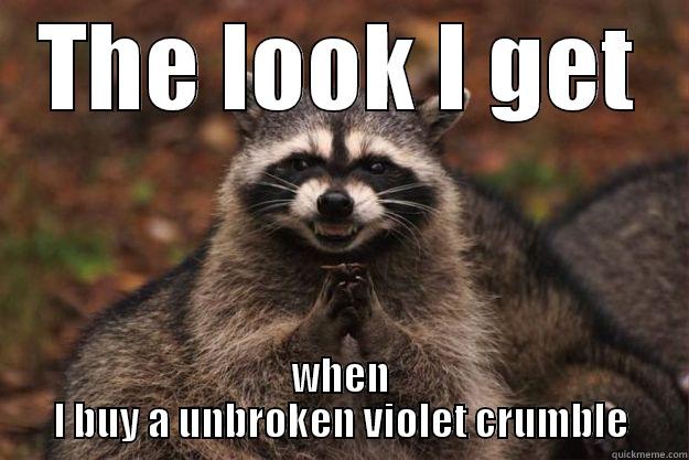 THE LOOK I GET WHEN I BUY A UNBROKEN VIOLET CRUMBLE Evil Plotting Raccoon