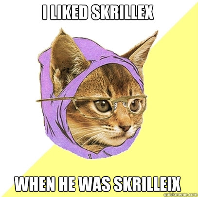 I liked Skrillex When he was Skrilleix  Hipster Kitty