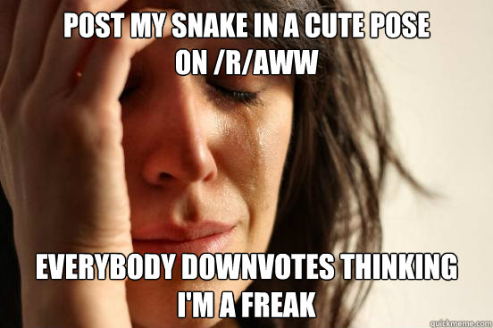 Post my snake in a cute pose 
on /r/aww Everybody downvotes thinking
I'm a freak  First World Problems