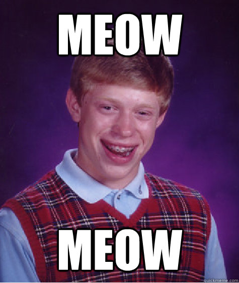 meow meow - meow meow  Bad Luck Brian