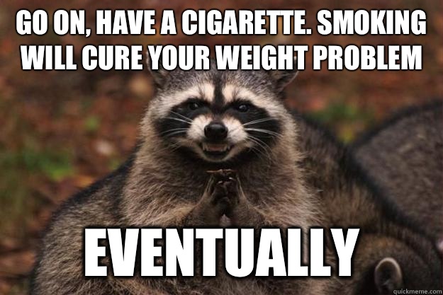 Go on, have a cigarette. Smoking will cure your weight problem Eventually - Go on, have a cigarette. Smoking will cure your weight problem Eventually  Evil Plotting Raccoon