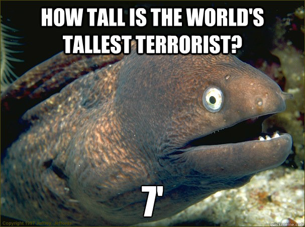 How tall is the world's tallest terrorist? 7' - How tall is the world's tallest terrorist? 7'  Bad Joke Eel