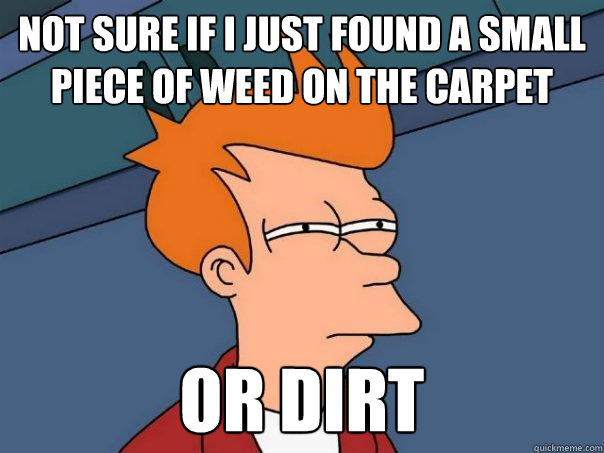 not sure if I just found a small piece of weed on the carpet Or dirt  Futurama Fry