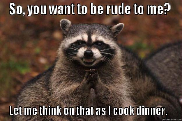 SO, YOU WANT TO BE RUDE TO ME? LET ME THINK ON THAT AS I COOK DINNER.   Evil Plotting Raccoon