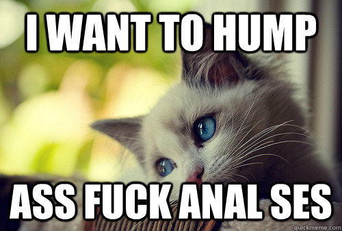 i want to hump ass fuck anal ses  First World Problems Cat