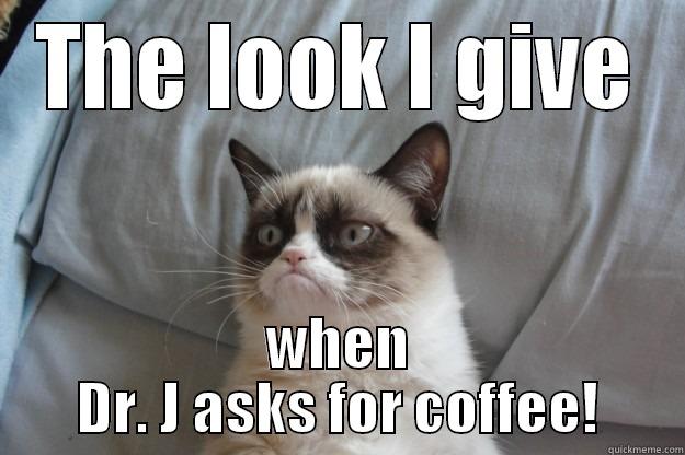 THE LOOK I GIVE WHEN DR. J ASKS FOR COFFEE! Grumpy Cat