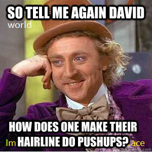 So tell me again david how does one make their hairline do pushups? - So tell me again david how does one make their hairline do pushups?  Nice Guy Willy Wonka