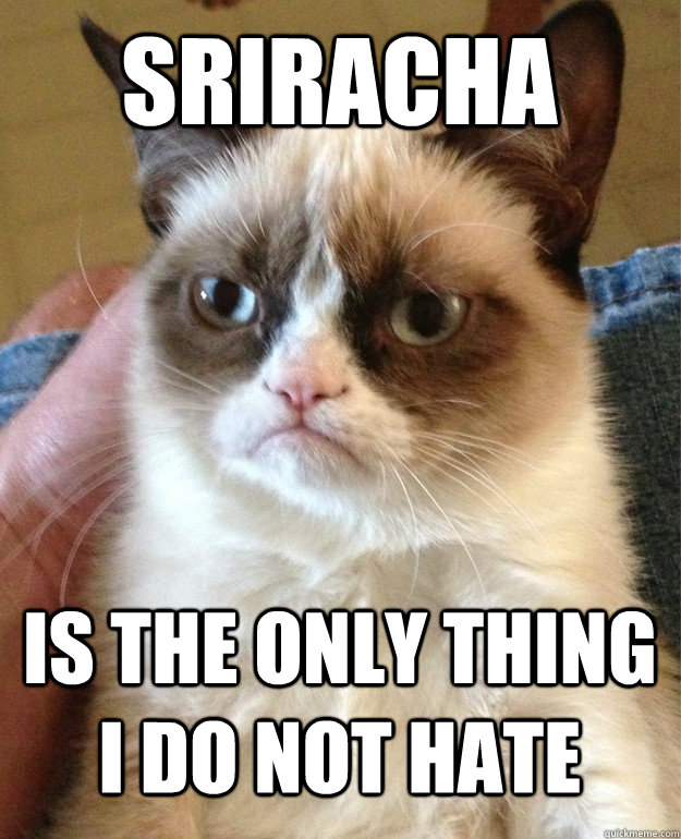 SRIRACHA is the only thing i do not hate  Grumpy Cat