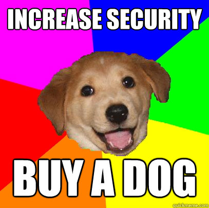 Increase security Buy a dog  Advice Dog