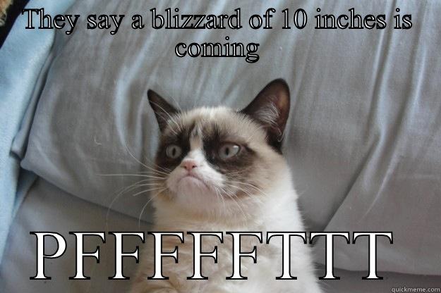 THEY SAY A BLIZZARD OF 10 INCHES IS COMING PFFFFFTTT Grumpy Cat