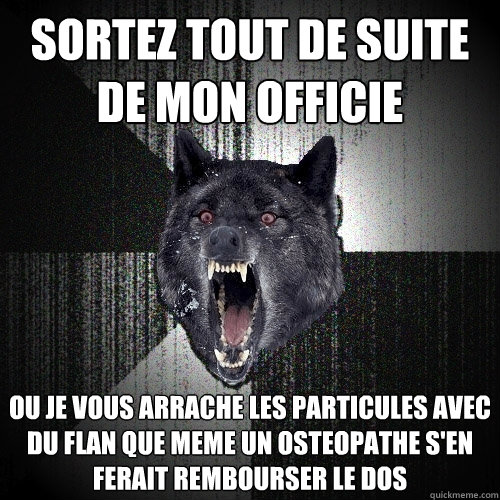 sortez tout de suite de mon officie ou je vous arrache les particules avec du flan que meme un osteopathe s'en ferait rembourser le dos  Insanity Wolf