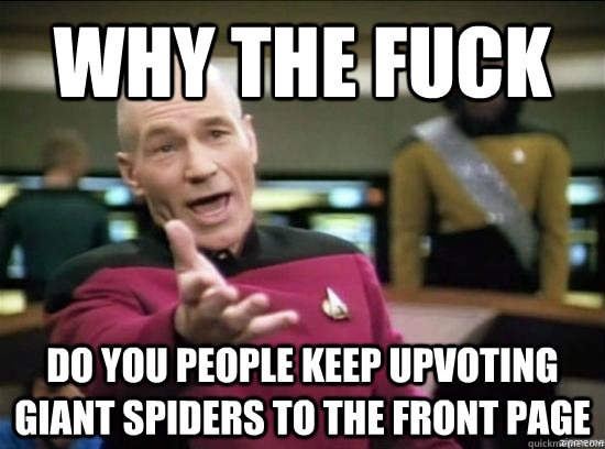 Why the fuck do you people keep upvoting giant spiders to the front page  Annoyed Picard HD