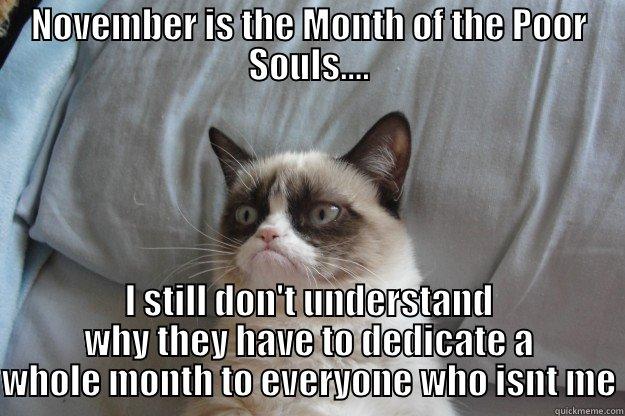 NOVEMBER IS THE MONTH OF THE POOR SOULS.... I STILL DON'T UNDERSTAND WHY THEY HAVE TO DEDICATE A WHOLE MONTH TO EVERYONE WHO ISNT ME Grumpy Cat