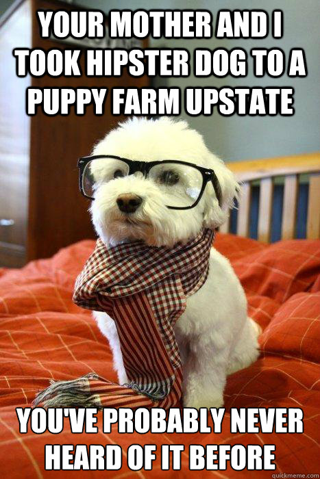 Your mother and I took hipster dog to a puppy farm upstate You've probably never heard of it before  Hipster Dog