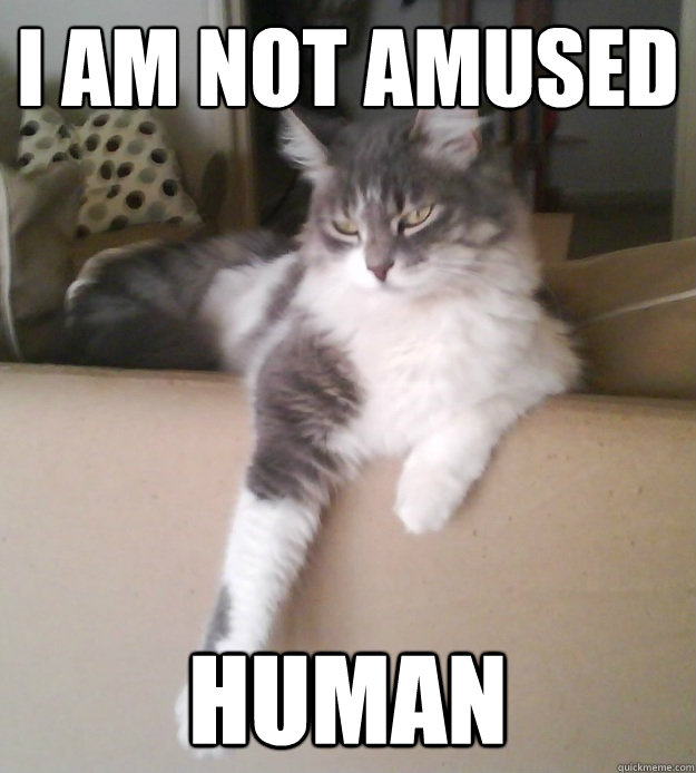 I am not amused Human - I am not amused Human  Misc