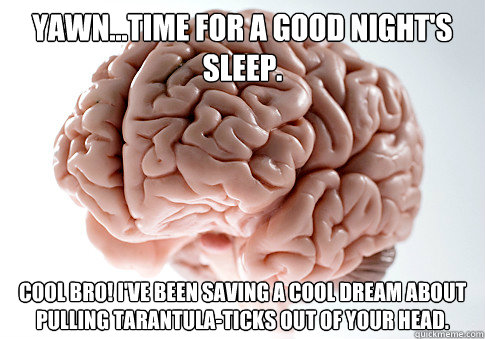 Yawn...Time for a good night's sleep. Cool bro! I've been saving a cool dream about pulling tarantula-ticks out of your head.  Scumbag Brain