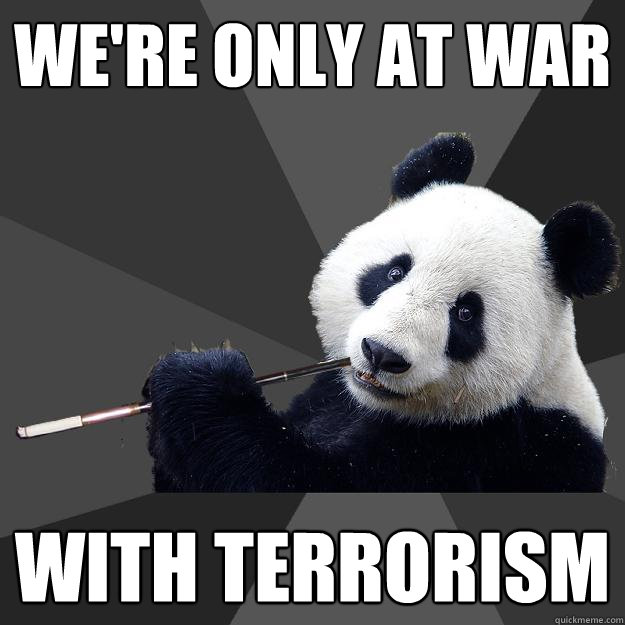 WE'RE ONLY AT WAR WITH TERRORISM  Propapanda