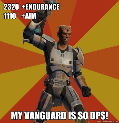 2320  +endurance
1110    +aim
 my vanguard is So Dps!  Swtor Noob