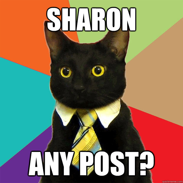 sharon any post?  Business Cat