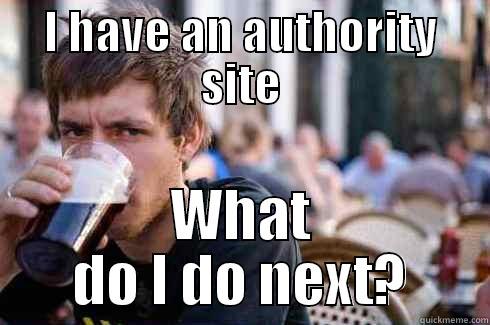 I HAVE AN AUTHORITY SITE WHAT DO I DO NEXT? Lazy College Senior