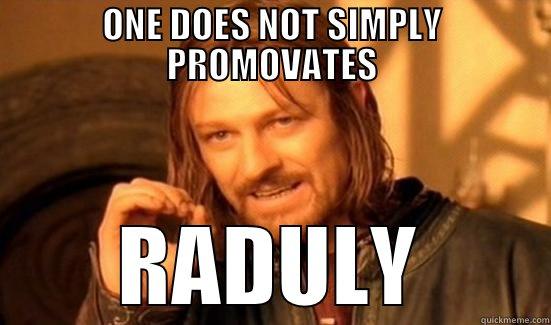 ONE DOES NOT SIMPLY PROMOVATES RADULY Boromir