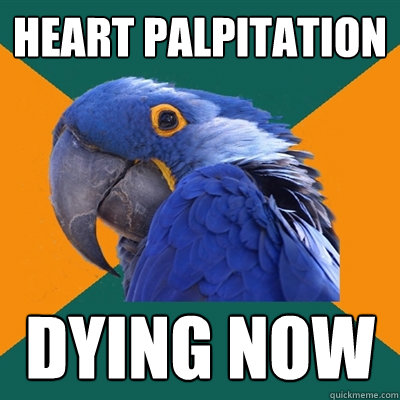 heart palpitation dying now - heart palpitation dying now  Paranoid Parrot