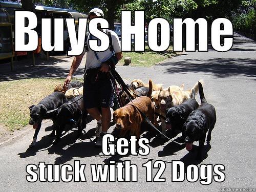 BUYS HOME GETS STUCK WITH 12 DOGS Misc