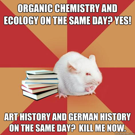 Organic chemistry and Ecology on the same day? Yes! Art history and German history on the same day?  Kill me now.  Science Major Mouse